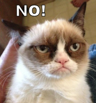 :grumpycat: