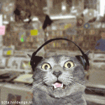 :crazykitty: