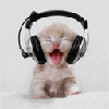:kittybop: