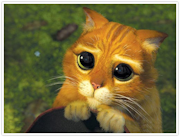 :kittyeyes: