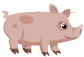:piggy: