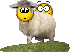 :sheepshagger: